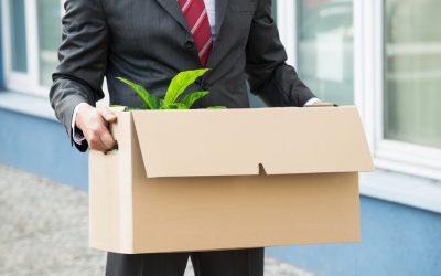 Why Businesses Fail & How to Ensure Yours Doesn’t