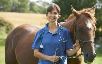 Answering Services for Veterinarians