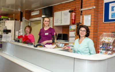 Reasons to Choose Veterinary Office Answering Services